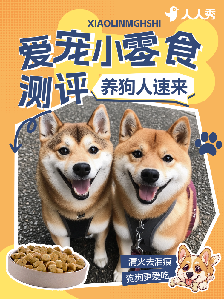 宠物狗粮测评养狗人速来
