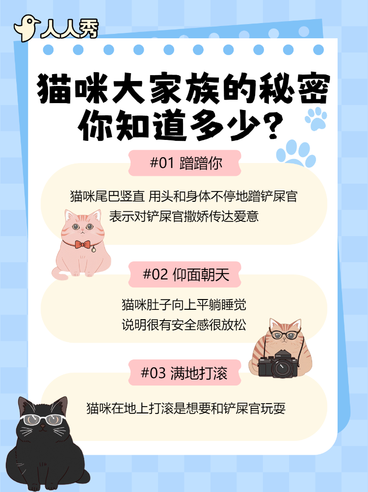 宠物猫咪知识科普