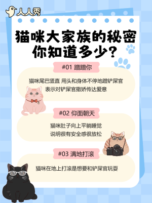 寵物貓咪知識(shí)科普