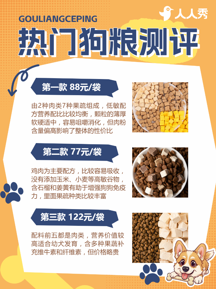 宠物狗粮测评养狗人速来