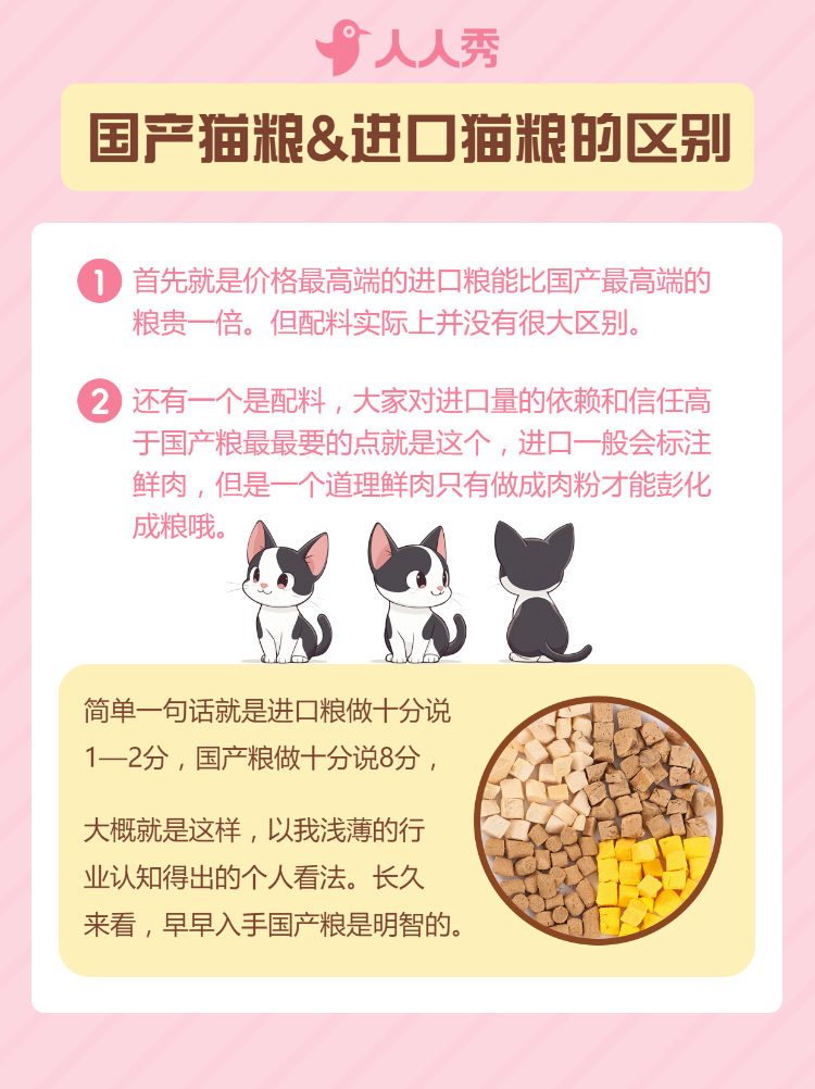 宠物知识科普猫粮怎么选