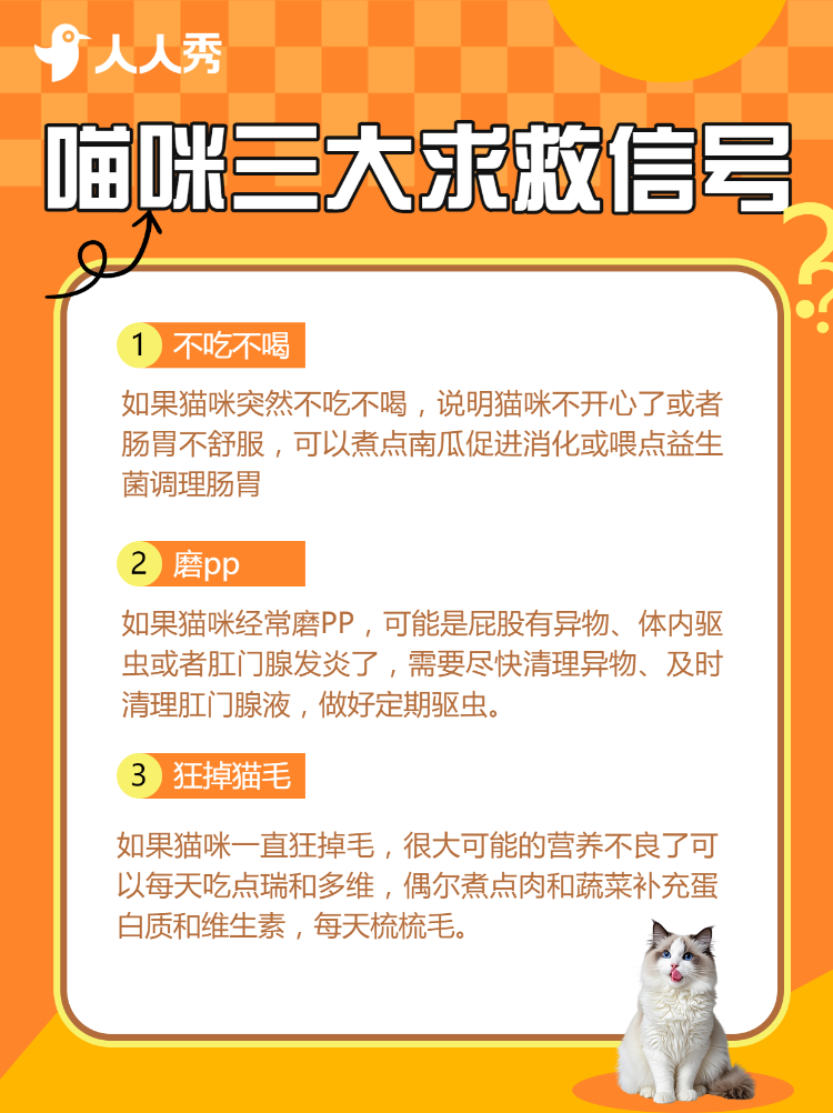 铲屎官指南宠物零食测评