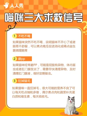 铲屎官指南宠物零食测评
