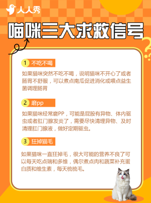 鏟屎官指南寵物零食測評