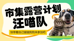 宠物活动派对宣传