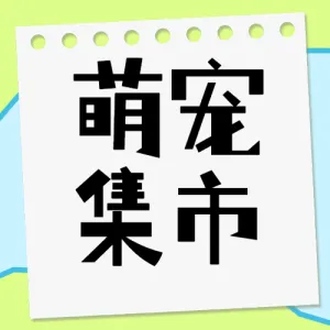 宠物集市活动宣传