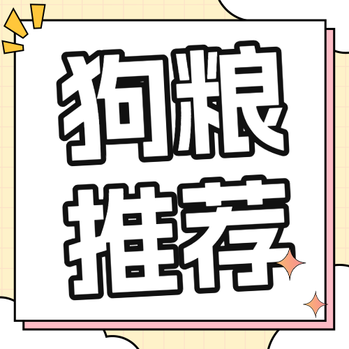 养狗攻略宠物狗粮测评
