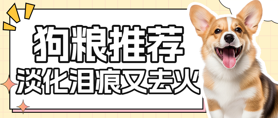 养狗攻略宠物狗粮测评