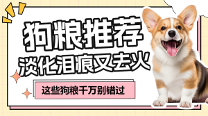 養(yǎng)狗攻略寵物狗糧測評