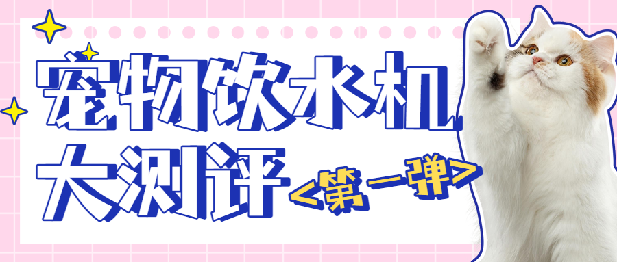 宠物产品测评第一弹