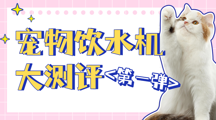 宠物产品测评第一弹