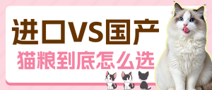 寵物知識(shí)科普貓糧怎么選