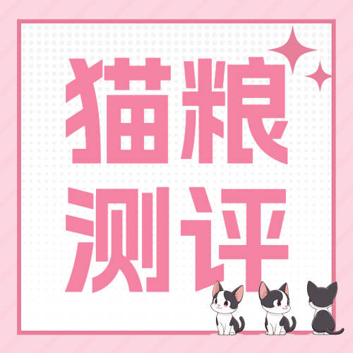 宠物知识科普猫粮怎么选