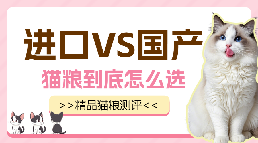 宠物知识科普猫粮怎么选