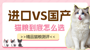 寵物知識科普貓糧怎么選