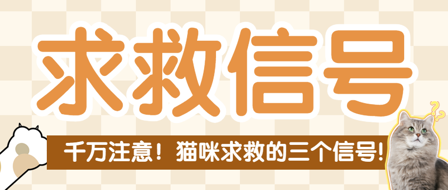 萌宠狗粮测评推荐