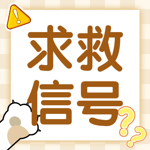 萌宠狗粮测评推荐