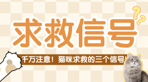 萌寵狗糧測評推薦