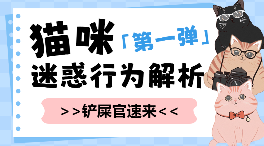 宠物猫咪知识科普