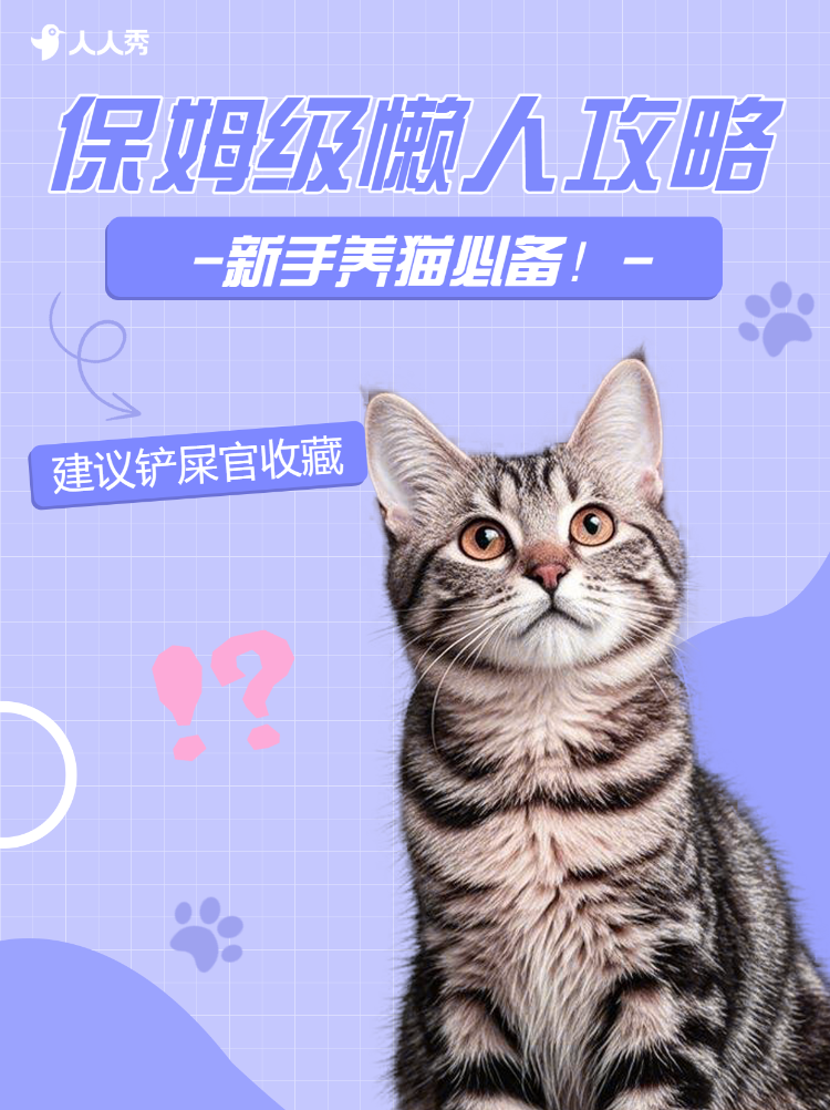 宠物知识科普攻略