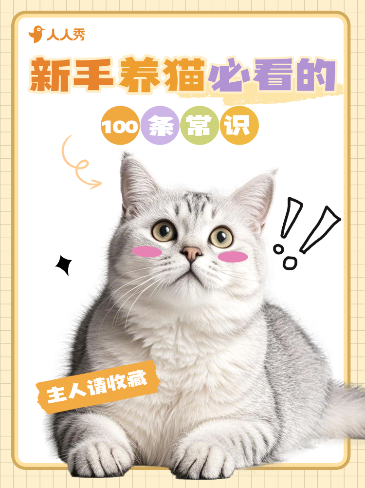 宠物猫咪知识科普