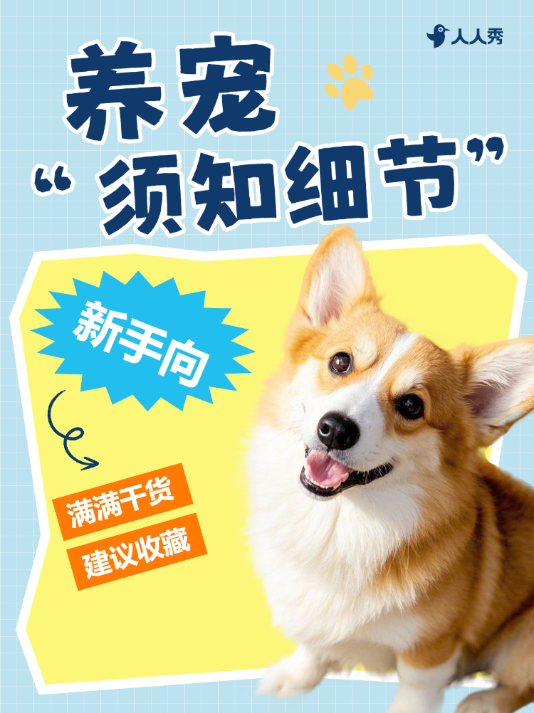 宠物养宠知识科普