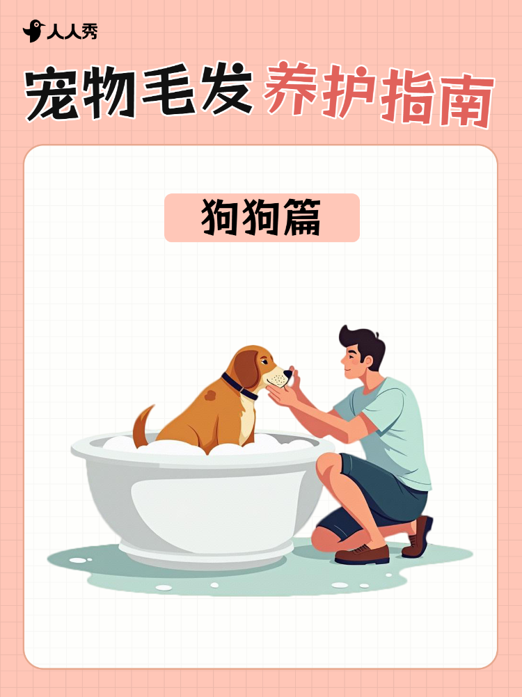 宠物养护指南攻略