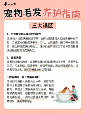 寵物養(yǎng)護(hù)指南攻略