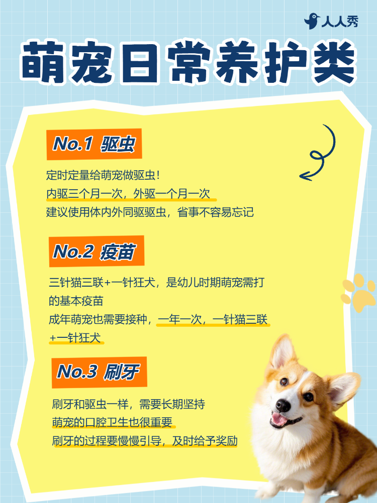 宠物养宠知识科普