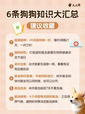 宠物知识科普