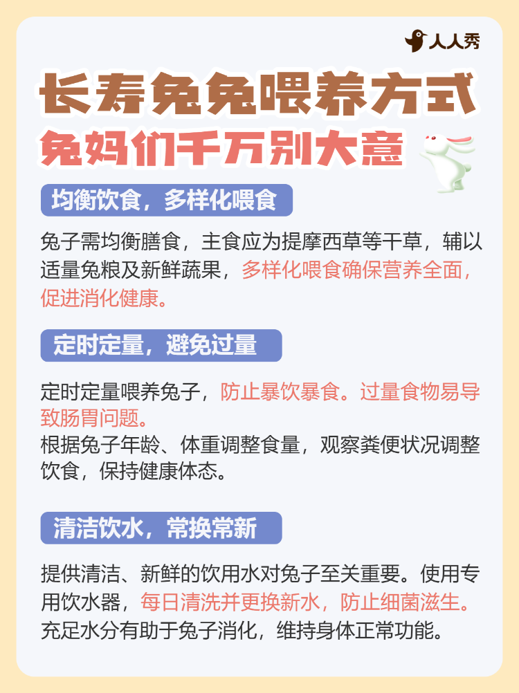 宠物兔子知识科普