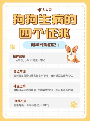 宠物知识科普