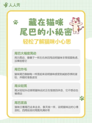 宠物知识科普