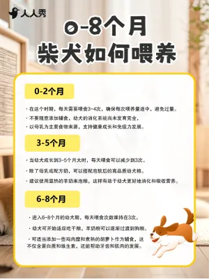 宠物知识科普