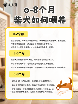 寵物知識科普