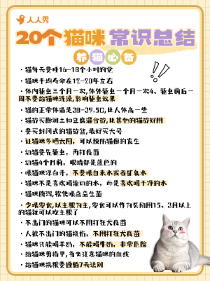 寵物貓咪知識科普