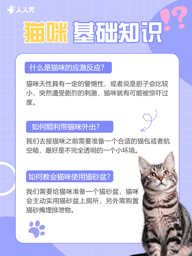 宠物知识科普攻略