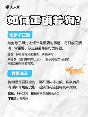宠物狗狗知识科普