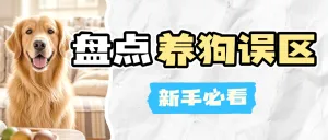 宠物狗狗知识科普
