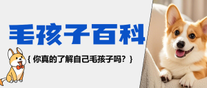 寵物知識科普百科