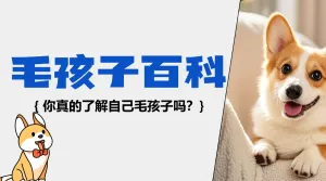 宠物知识科普百科