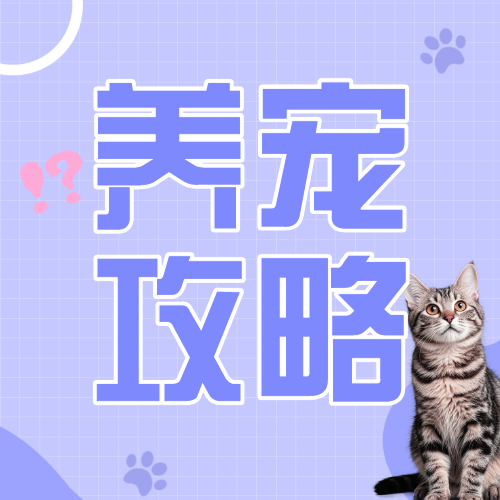 宠物知识科普攻略