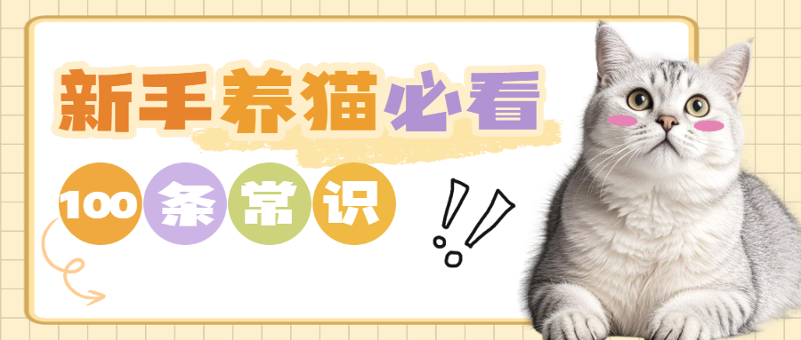 宠物猫咪知识科普