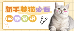 寵物貓咪知識科普