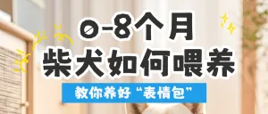 宠物知识科普