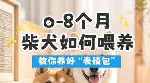 宠物知识科普