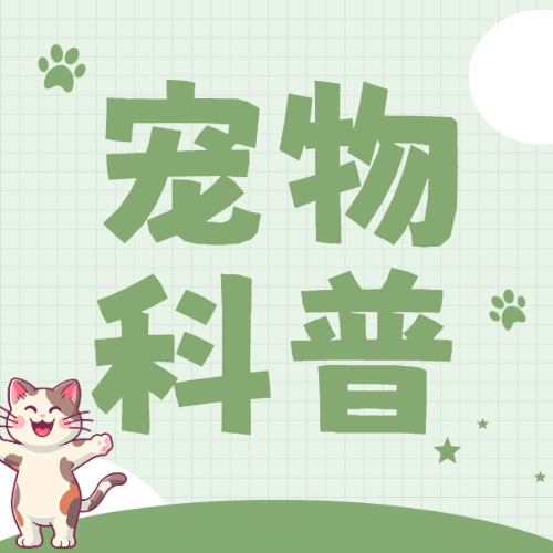 宠物知识科普
