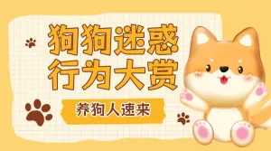 宠物知识科普