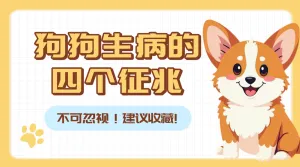 宠物知识科普