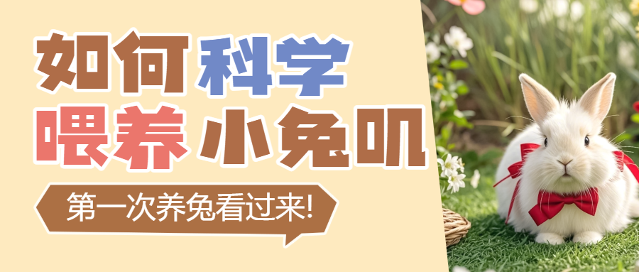 宠物兔子知识科普